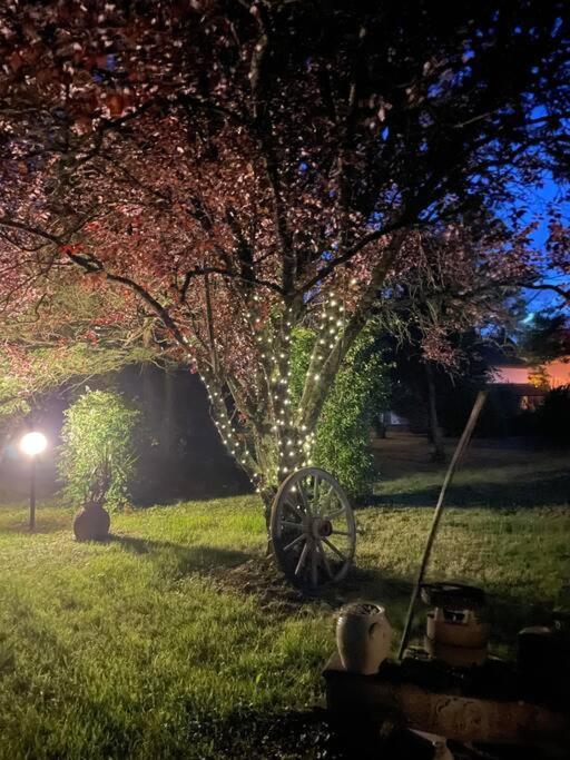 La Casa Del Papa - Maison Spacieuse Avec Jardin Dole Buitenkant foto