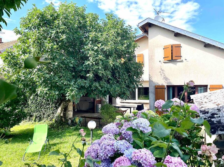 La Casa Del Papa - Maison Spacieuse Avec Jardin Dole Buitenkant foto