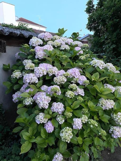La Casa Del Papa - Maison Spacieuse Avec Jardin Dole Buitenkant foto